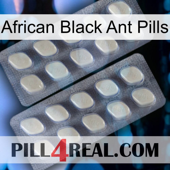 African Black Ant Pills 07.jpg